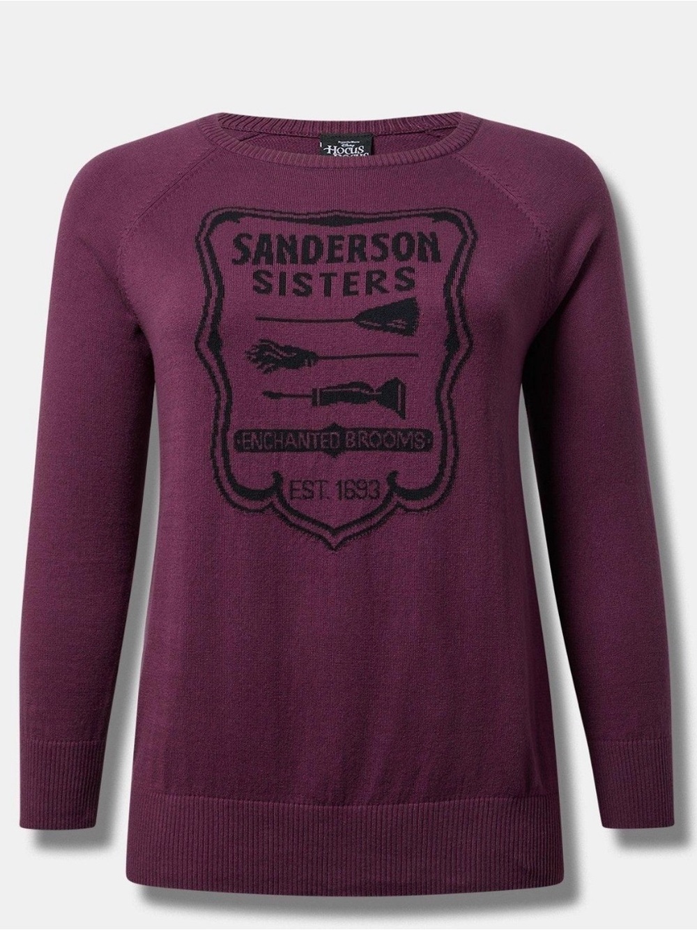 torrid Disney Plum Hocus Pocus Sanderson Sisters Graphic Crewneck Sweater